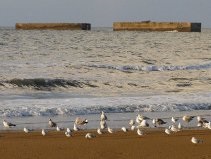 Après la reconstruction de Caen et des villes bombardées, dans les années 50, le port artificiel dArromanches semble un peu oublié