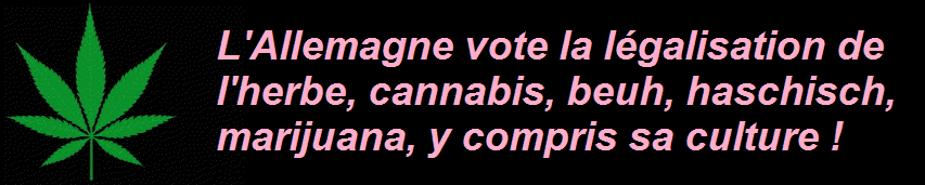 Le gouvernement allemand approuve un projet visant  libraliser les rgles sur la possession et la vente de cannabis