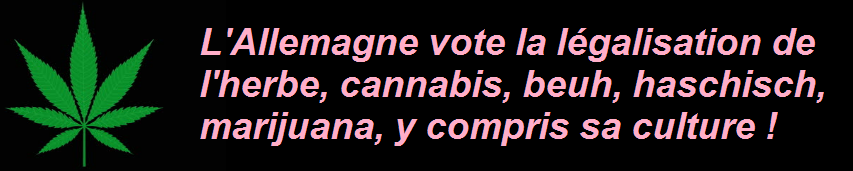 Le gouvernement allemand approuve un projet visant  libraliser les rgles sur la possession et la vente de cannabis