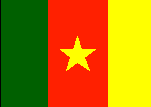 Le drapeau du Cameroun