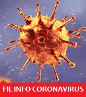 FIL INFO CORONAVIRUS - Fil-info-France 