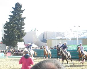 Cheval Passion : de la tradition équestre à la modernité