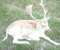 Un parc pour préserver la nature