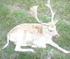 Un parc pour prserver la nature