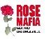 Rose Mafia le livre tabou au Parti socialiste