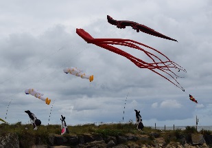 Journe des cerfs-volants