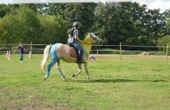 Une fête du cheval riche en couleurs