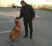 vigile Bobigny Saïd Bourarach et son chien