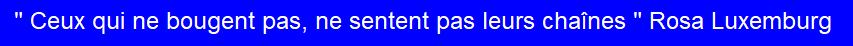 Citation - " Ceux qui ne bougent pas, ne sentent pas leurs cha�nes " Rosa Luxemburg