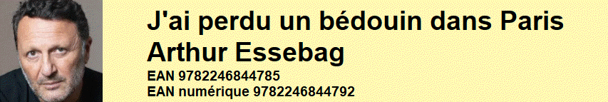 LIVRE : J'ai perdu un b�douin dans Paris ; Arthur Essebag ; Grasset